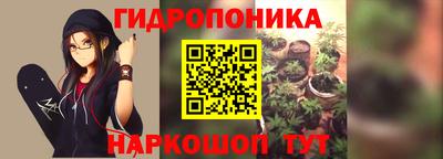 альфа пвп Заводоуковск
