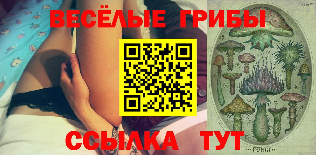 Псилоцибиновые грибы Psilocybe  Вход с VPN  Людиново 