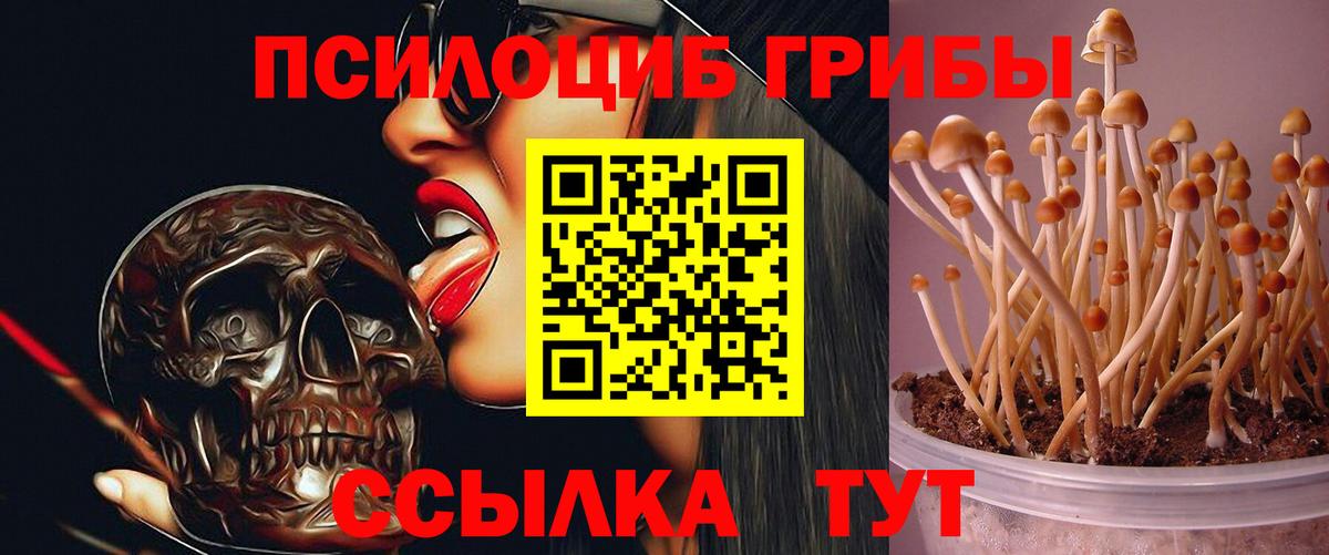 Псилоцибиновые грибы MAGIC MUSHROOMS Людиново
